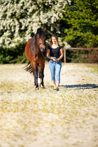 Genç bir kadın atıyla güneşli bir arenada duruyor. Arka planda, çiçek açan ağaçlar ve yeşil doğa, bulanık, kahverengi at ve kot pantolon giymiş kadının önünde izole edilmiş model..