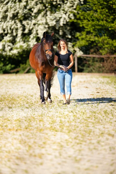 Genç bir kadın atıyla güneşli bir arenada duruyor. Arka planda, çiçek açan ağaçlar ve yeşil doğa, bulanık, kahverengi at ve kot pantolon giymiş kadının önünde izole edilmiş model..