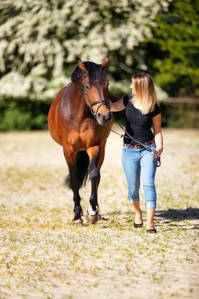 Genç bir kadın atıyla güneşli bir arenada duruyor. Arka planda, çiçek açan ağaçlar ve yeşil doğa, bulanık, kahverengi at ve kot pantolon giymiş kadının önünde izole edilmiş model..