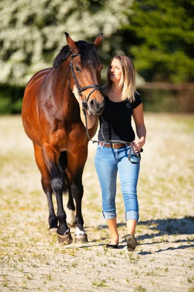 Genç bir kadın atıyla güneşli bir arenada duruyor. Arka planda, çiçek açan ağaçlar ve yeşil doğa, bulanık, kahverengi at ve kot pantolon giymiş kadının önünde izole edilmiş model..