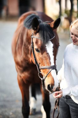 Solgunluğu olan at kahverengisi, önden portreler, arka planda sivil elbiseli sahibi görülebilir..