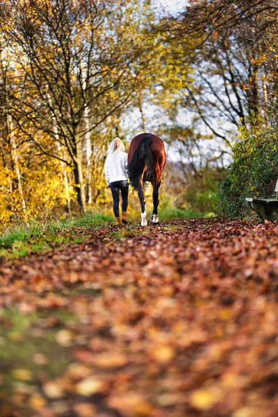 A young girl in civilian clothes walking with her horse along a forest path in a colorful autumn forest, the sun shining through the branches. The girl is wearing black and white in civilian clothes.