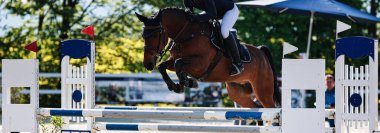 Bu resim, bir turnuva sırasında hareket halindeki bir atı, yazı için yeri olan yakın plan, renkli bir görüntü olarak gösteriyor. Baharda güneşli bir gün.
