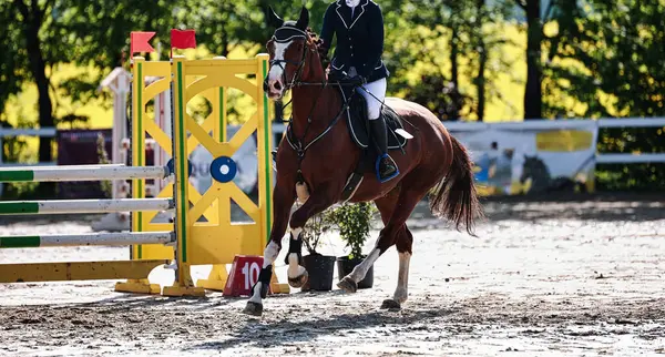 Bu resim, bir turnuva sırasında hareket halindeki bir atı, yazı için yeri olan yakın plan, renkli bir görüntü olarak gösteriyor. Baharda güneşli bir gün.