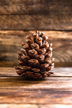 Large pine cone on a wooden background.