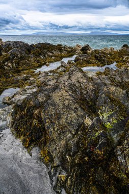 Sahilden İrlanda Deniz Burnu manzarası