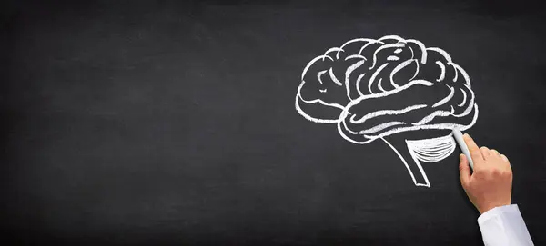 Human brain on chalkboard. Mental health and problems with memory.