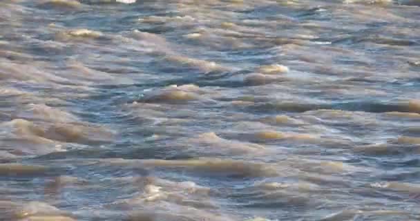 Tiro Margem Rio Danúbio Dia Inverno Muito Ventoso Com Ondas — Vídeo de Stock