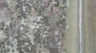 Kışın deniz manzaralı tarla ve kanalların insansız hava aracı görüntüleri.