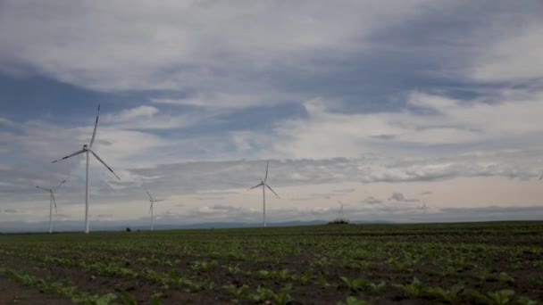 Molinos Viento Campo Contra Nubes Lapso Tiempo Camera Mueve Izquierda — Vídeos de Stock