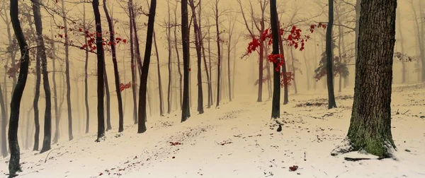 氷とライムで覆われた雪の森 オークの木 赤い葉 冬の風景 パノラマクリスマス画像として使用できます チェコ共和国 ヨーロッパ — ストック写真
