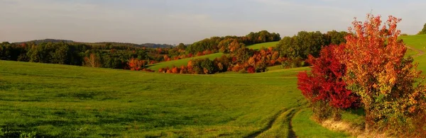 Scenic Herfstlandschap Grondweg Weiden Bomen Met Kleurrijke Bladeren Herfst Herfst — Stockfoto
