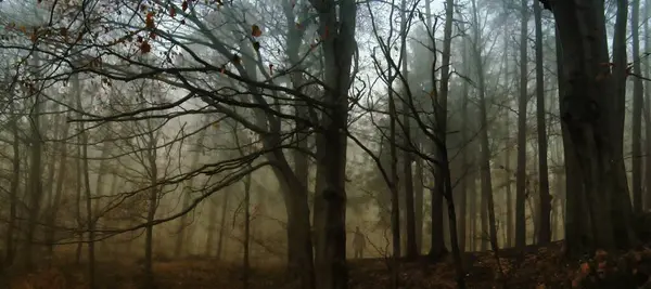 Темний Моторошний Туманний Буковий Ліс Людина Темному Одязі Оточений Похмурим — стокове фото