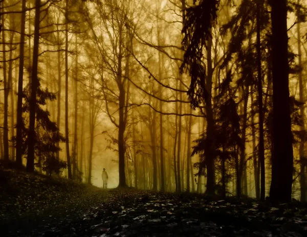 Dark Creepy Foggy Forest Man Dark Clothes Road Surrounded Gloomy — Stock Photo, Image