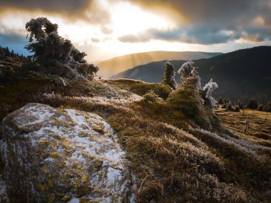 Jeseniky dağlarının bir sıradağının engebeli manzarası. Sonbaharın sonlarına doğru ağaçlarla kaplı. Bulutlar ve güneş ışığı, gün ışığı. Jeseniky Dağları, Çek Cumhuriyeti. 