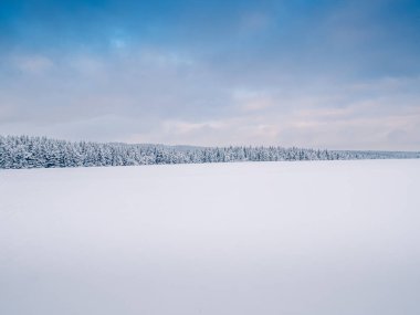 Kış manzaralı karlı bulutlu manzara, orman, kar. Vysocina bölgesi, Çek Cumhuriyeti, Avrupa. 