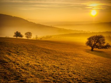 Gün batımında yalnız ağaçların olduğu manzaralı tepe manzarası vadiye bakan, yüksek bulutlu mavi gökyüzü, güneş. Sonbahar akşamı. Bile Karpaty, Çek Cumhuriyeti.