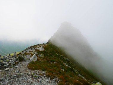 Sisli bir yaz gününde, titrek Zillertal Alpler dağına bakın. Zillertal Alpler / Zillertaler Alpen, Avusturya. 