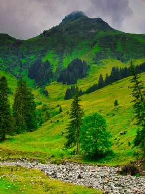 View on mountains near Saalbach Hinterglemm ski resort on a summer day,green meadows,mountains, clouds. Alps, Austria.  clipart
