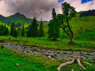 Bir yaz günü Saalbach Hinterglemm kayak merkezi yakınlarındaki dağlarda yeşil çayırlar, dağlar, bulutlar. Alpler, Avusturya. 