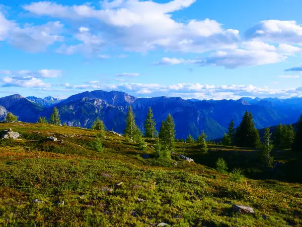 Osttirol bölgesindeki dağlara bir yaz günü, dağlara, gökyüzüne, bulutlara bakın. Yeşillik bitki örtüsü. Alpler, Avusturya. 