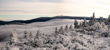 Sıcaklığın tersine dönmesi, kar, gürültü, bulutlar, güneş ışığı, ladin ağaçları sırasında alçak bulutlar ve sisle dolu bir dağ aralığından vadiye kadar manzaralı bir manzara. Jeseniky Dağları. Çek Cumhuriyeti..