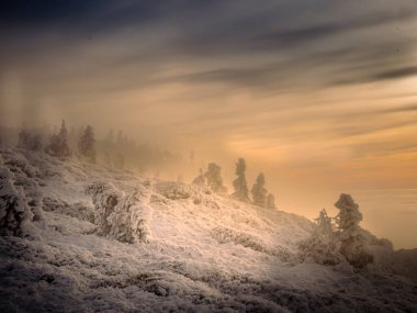 Sıcaklığın tersine dönmesi, kar, gürültü, bulutlar, güneş ışığı, ladin ağaçları sırasında alçak bulutlar ve sisle dolu bir dağ aralığından vadiye kadar manzaralı bir manzara. Jeseniky Dağları. Çek Cumhuriyeti..
