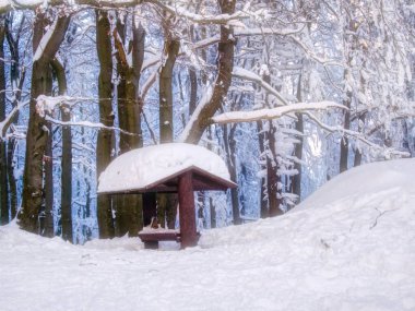 Kışın güneşli bir günde karlı, taze karla kaplı ağaçlar, orman ve dağ ormanları. Çek Cumhuriyeti. 