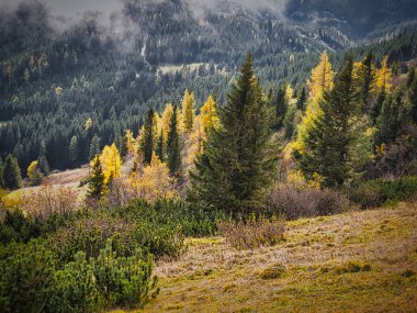 Beautiful Autumn day on a Hohe Veitsch mountain in Alps, Austria. Mountain forest, clouds and fog. Scenic landscape. clipart