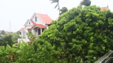 Kuzey Vietnam 'ı harap eden Süper Tayfun Yagi şiddetli yağmurlara, yıkılmış ağaçlara, çökmüş evlere, sellere neden oldu. 300' den fazla insan öldü. 