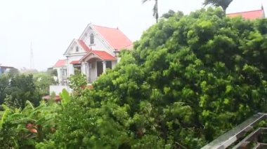 Kuzey Vietnam 'ı harap eden Süper Tayfun Yagi şiddetli yağmurlara, yıkılmış ağaçlara, çökmüş evlere, sellere neden oldu. 300' den fazla insan öldü. 