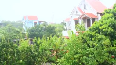 Kuzey Vietnam 'ı harap eden Süper Tayfun Yagi şiddetli yağmurlara, yıkılmış ağaçlara, çökmüş evlere, sellere neden oldu. 300' den fazla insan öldü. 