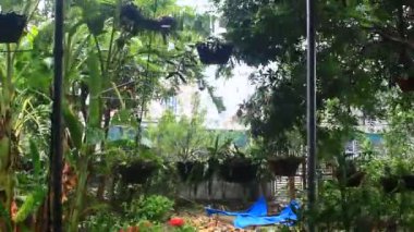 Kuzey Vietnam 'ı harap eden Süper Tayfun Yagi şiddetli yağmurlara, yıkılmış ağaçlara, çökmüş evlere, sellere neden oldu. 300' den fazla insan öldü. 