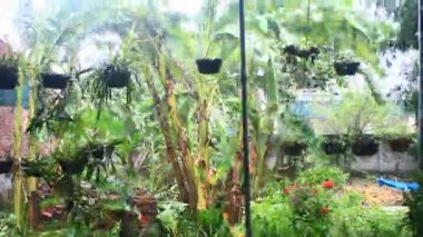 Kuzey Vietnam 'ı harap eden Süper Tayfun Yagi şiddetli yağmurlara, yıkılmış ağaçlara, çökmüş evlere, sellere neden oldu. 300' den fazla insan öldü. 