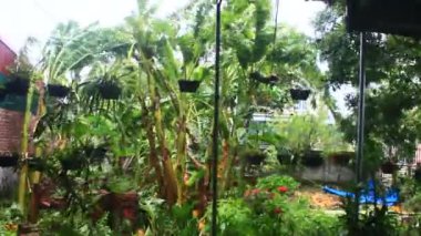 Kuzey Vietnam 'ı harap eden Süper Tayfun Yagi şiddetli yağmurlara, yıkılmış ağaçlara, çökmüş evlere, sellere neden oldu. 300' den fazla insan öldü. 