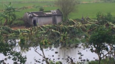 Kuzey Vietnam 'ı harap eden Süper Tayfun Yagi şiddetli yağmurlara, yıkılmış ağaçlara, çökmüş evlere, sellere neden oldu. 300' den fazla insan öldü. 