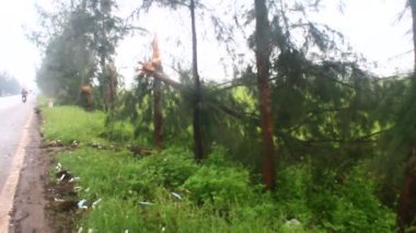 Kuzey Vietnam 'ı harap eden Süper Tayfun Yagi şiddetli yağmurlara, yıkılmış ağaçlara, çökmüş evlere, sellere neden oldu. 300' den fazla insan öldü. 