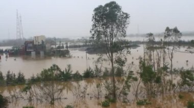 Kuzey Vietnam 'ı harap eden Süper Tayfun Yagi şiddetli yağmurlara, yıkılmış ağaçlara, çökmüş evlere, sellere neden oldu. 300' den fazla insan öldü. 