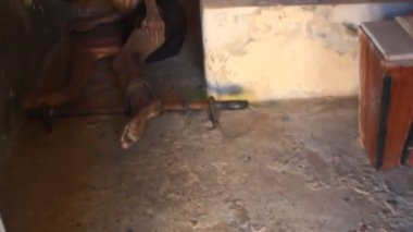 Con Dao hapishanesi ABD tarafından Vietnam 'da inşa edildi.