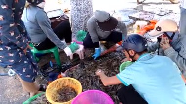 6 Ekim 2024. Vietnam 'da geleneksel pazar. Bu, Chi Linh şehri Hai Duong 'da tarım ürünleri ve yiyecek satan bir pazar.. 