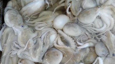 Pazar kalamar, karides, yengeç ve balık gibi deniz ürünleri satar.