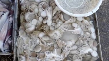 Pazar kalamar, karides, yengeç ve balık gibi deniz ürünleri satar.