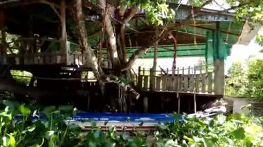 Nehirde tekne gezisi. Yüzen pazarı ziyaret et