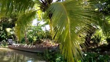 Nehirde tekne gezisi. Yüzen pazarı ziyaret et