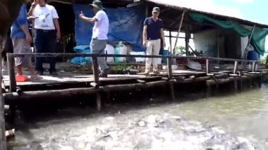 Nehirde tekne gezisi. Yüzen pazarı ziyaret et