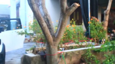 Vinfast elektrikli arabalar evde.