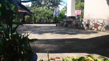 Kadın bahçede sebze buduyor.