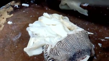 Deniz ürünleri tabağa dönüşüyor