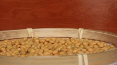 Çiftçiler soya fasulyesi hasatı