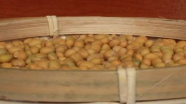 Çiftçiler soya fasulyesi hasatı